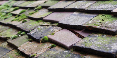 Herongate roof repair costs